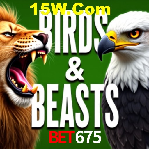 Apostas Esportivas na bet675: Um Guia Completo